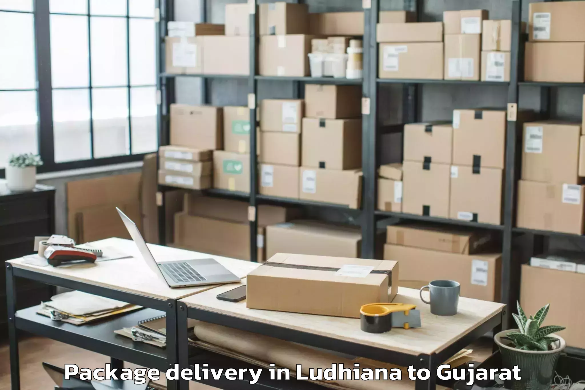 Professional Ludhiana to Satlasana Package Delivery